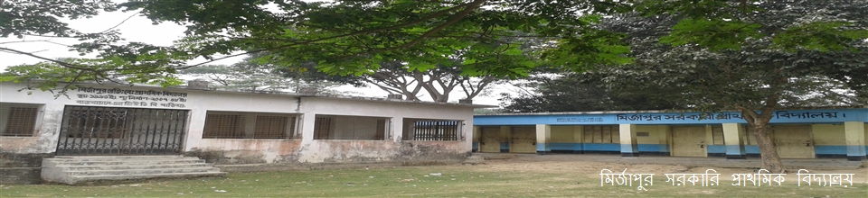 মির্জাপুর সরকারি প্রাথমিক বিদ্যালয়