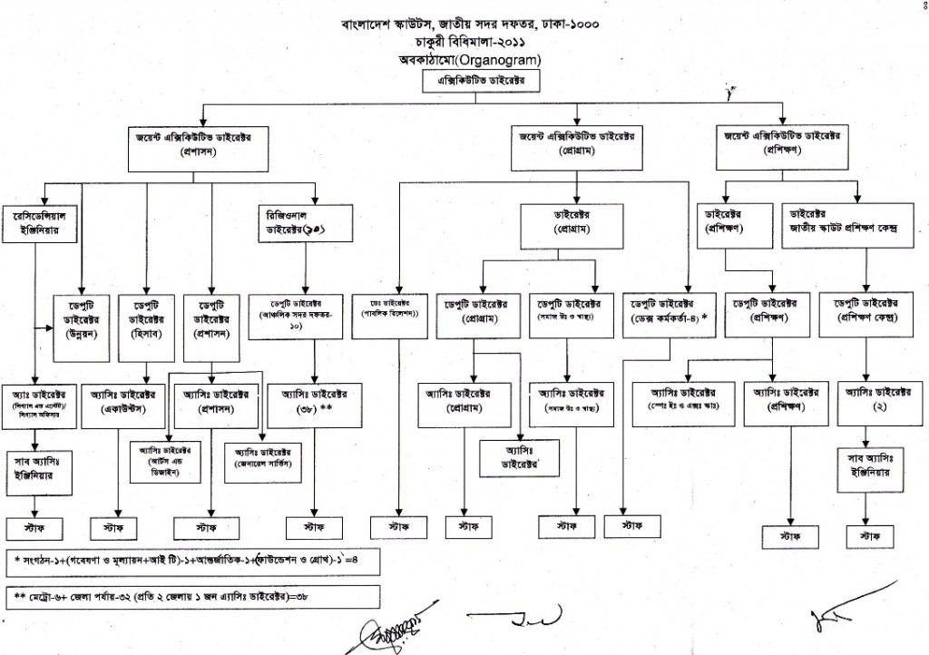 organogram-bs-prof_0001-1024x722