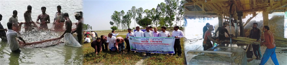 মাছ বিতরণ