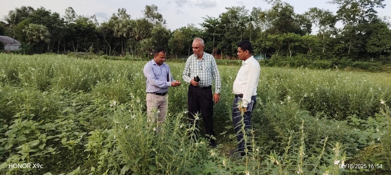 মাঠ পরিদর্শন