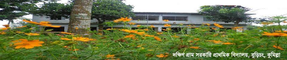 দক্ষিণ গ্রাম সরকারি প্রাথমিক বিদ্যালয়, বুড়িচং, কুমিল্লা