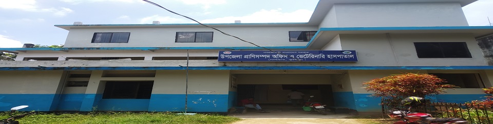উপজেলা প্রাণিসম্পদ দপ্তর, দেবিদ্বার, কুমিল্লা